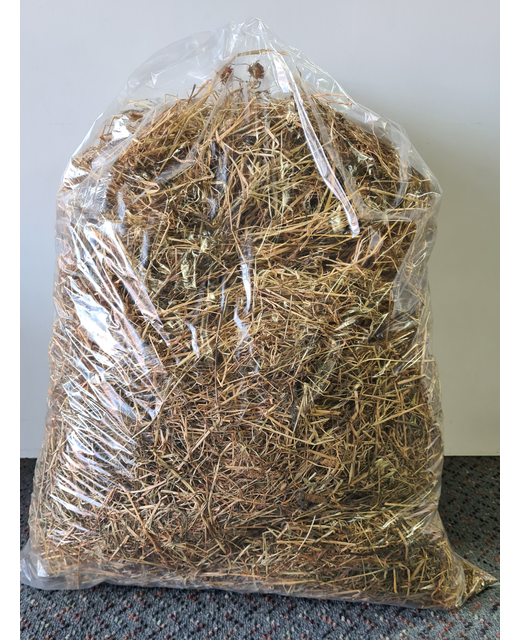 Hay - Large Bag