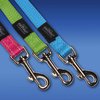 Classic Lead Dayglo - Small