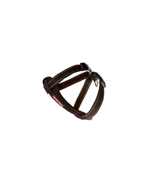 Ezy Dog Harness Black - S