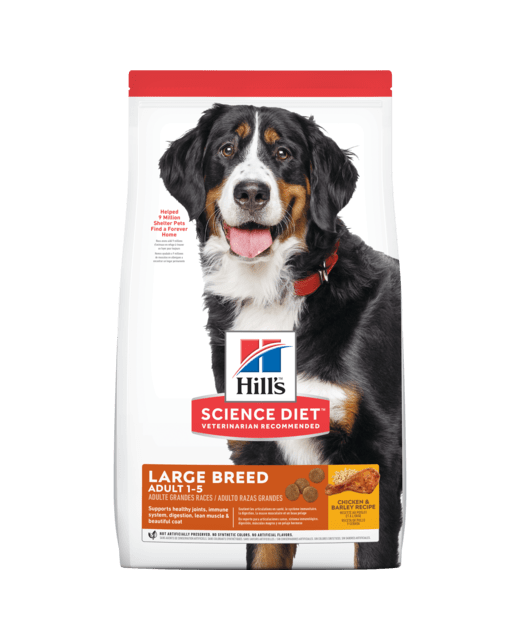 Hills Science Diet Adult Large Breed 12kg