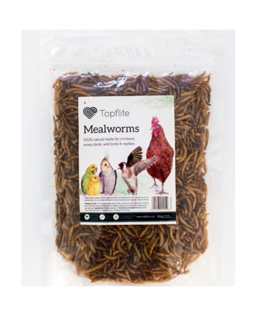 Topflite Mealworms 125g