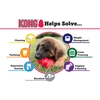 Kong Classic Medium