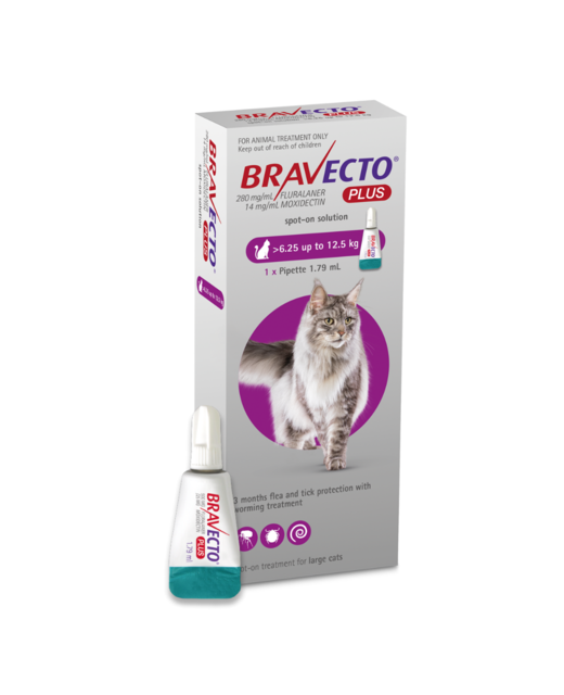 Bravecto PLUS Cat 6.25kg-12.5kg