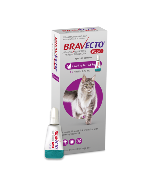 Bravecto PLUS Cat 6.25kg-12.5kg