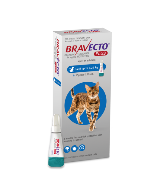 Bravecto PLUS Cat 2.8-6.25kg 