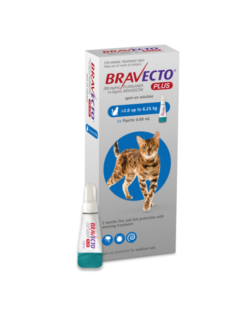 Bravecto PLUS Cat 2.8-6.25kg 