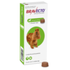 Bravecto Chewable Dog 10-20kg 