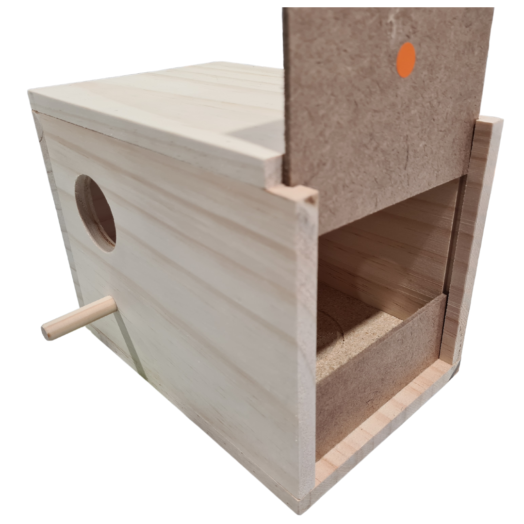 Nesting Box Budgie