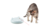 PetSafe® FroliCat® ZIP Automatic Laser Light