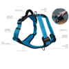 Huskimo Ultimate Harness Bells Beach XL