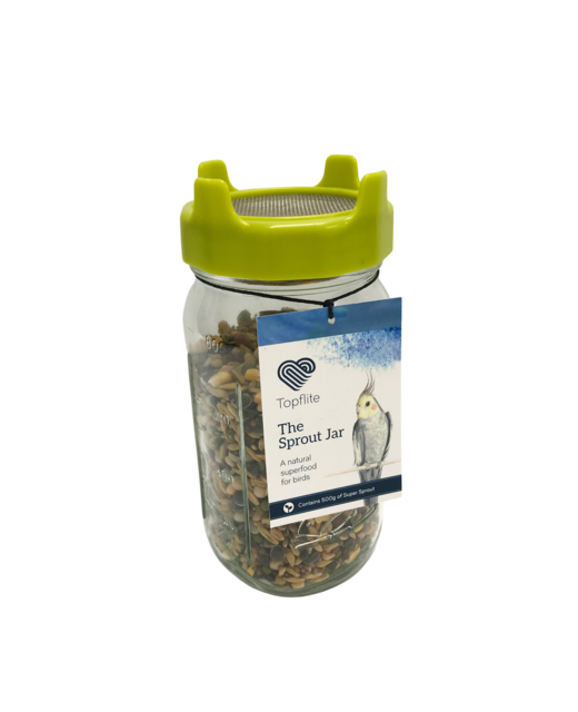 Topflite Sprout Jar (Including Sprouts)