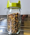 Topflite Sprout Jar (Including Sprouts)