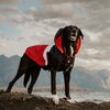 Huskimo Coat Mt Buller Navy Red 52cm