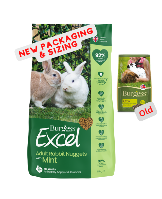 Burgess Excel Adult Rabbit Nuggets with Mint 1.5kg