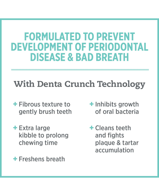 Nutrience Care Cat Oral 1.5kg CatFood Pet Essentials New Plymouth