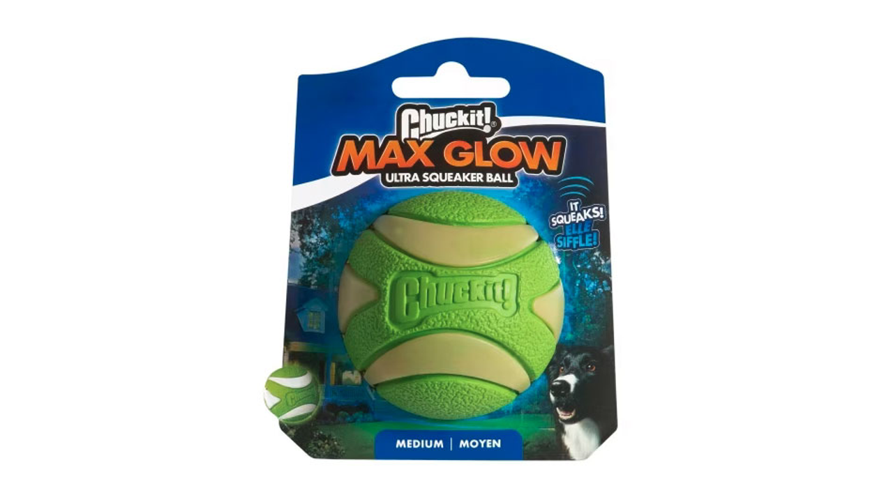 Chuckit ultra squeaker ball medium sales