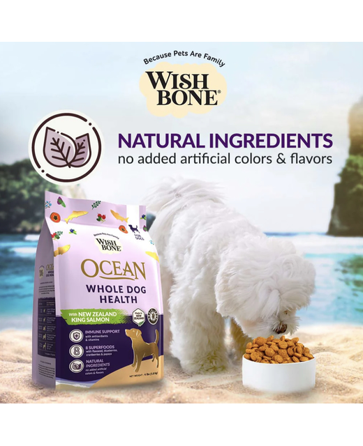 Wishbone Ocean Dog 1.81kg