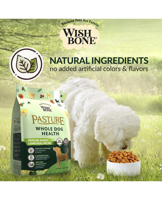 Wishbone Pasture Dog 1.8kg