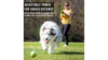 Hyper Pet K9 Kannon Tennis Ball Launcher