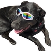 Dog Sunglasses