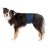 Belly Band for Male Dogs Small - 37-45cm