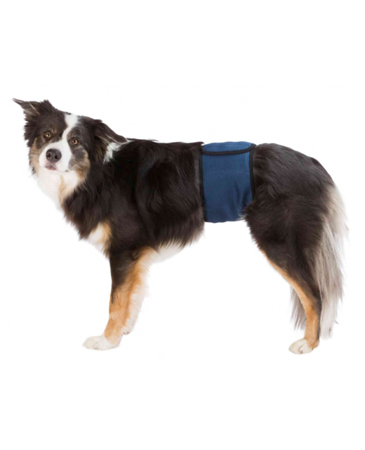 Belly Band for Male Dogs Small - 37-45cm