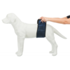Belly Band for Male Dogs Small - 37-45cm