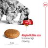 Royal Canin Adult Medium 15kg