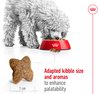 Royal Canin Mini Adult 2kg
