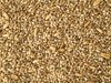 Topflite Budgie Seed 10kg