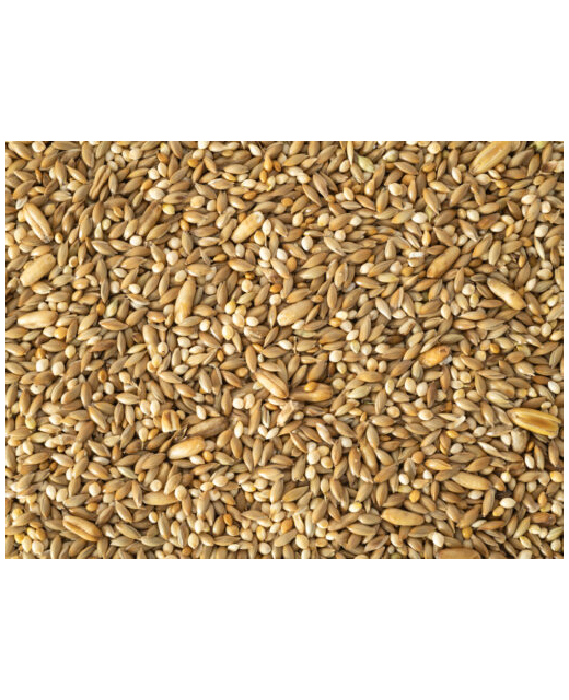 Topflite Budgie Seed 10kg
