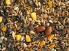 Topflite Parrot Mix 20kg