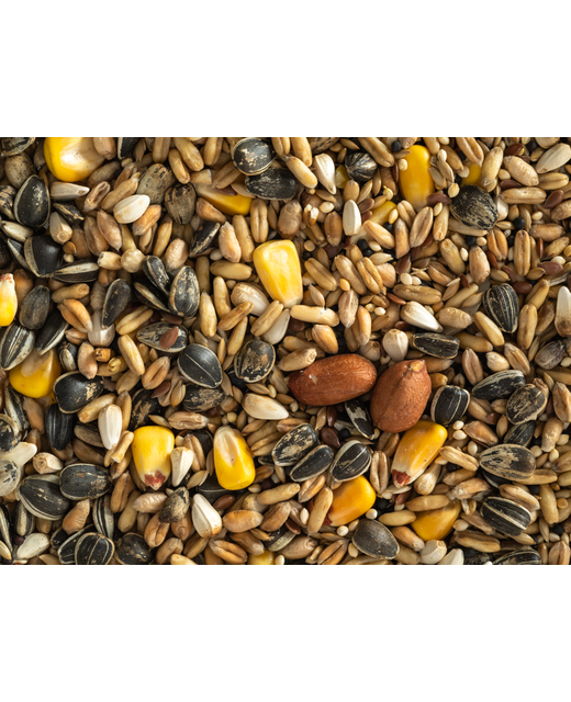 Topflite Parrot Mix 20kg