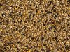 Topflite Canary Mix 20kg