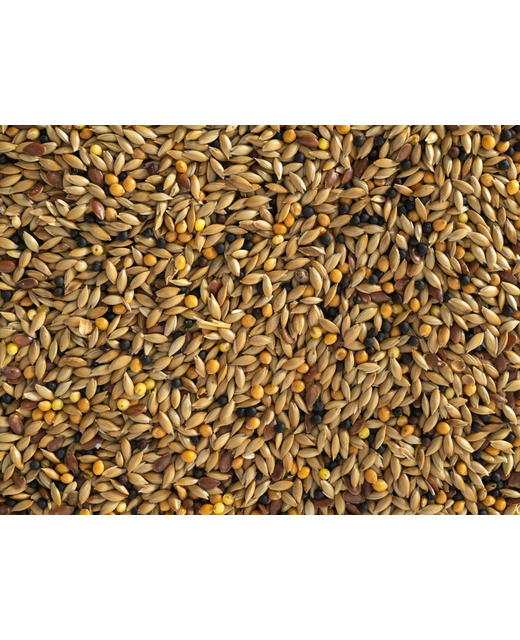 Topflite Canary Mix 20kg