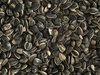 Topflite Sunflower (NZ Grown) Seeds 1kg
