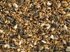 Topflite Aviary Mix 2kg