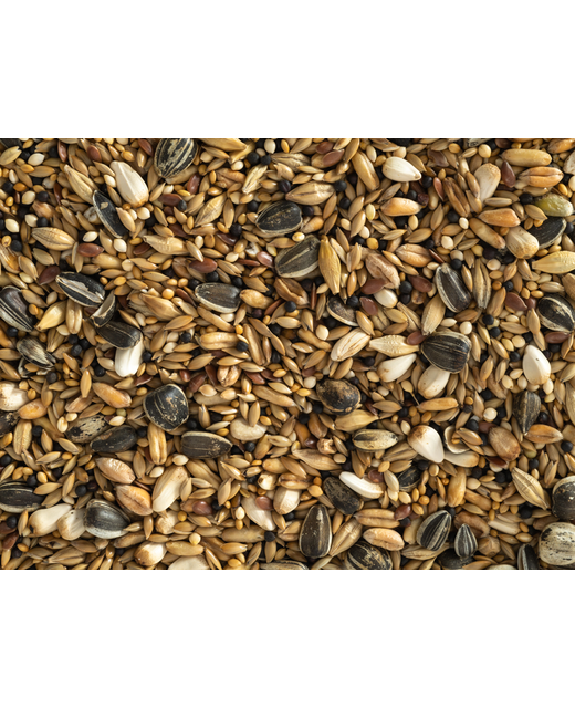 Topflite Aviary Mix 2kg