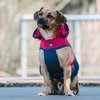 Huskimo Snowparka Pink 33cm