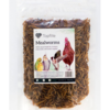 Topflite Mealworms 500g