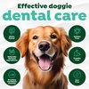 Tropiclean Clean Teeth Gel 118ml