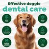 TropicleanFresh Breath Oral Care Kit  Large
