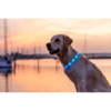 LED Light Band 65cm - Multicolour XS-XL
