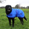 Roxburgh Dog Coat 30cm 