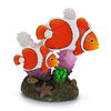 Clown Fish & Coral