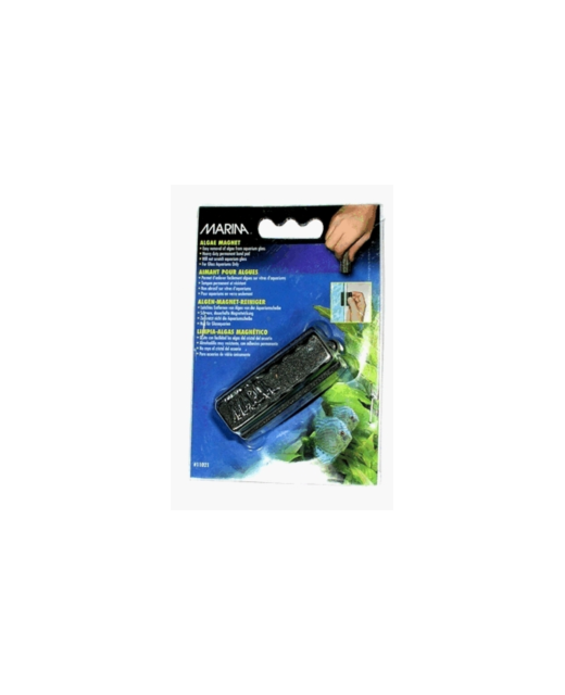 Marina Algae Magnet Small