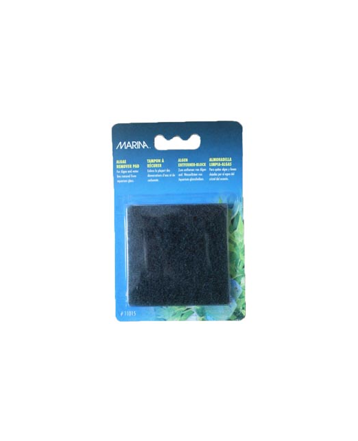 Marina Algae Remover Pad