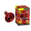 Reptile One Halogen Heat Lamp Infrared 42W (eqv.60w) E27 Screw Fitting