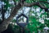 Topflite Geo Feeder 