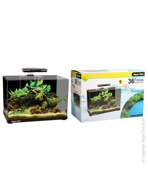 Aqua One Focus 36 Glass Aquarium 36L Black